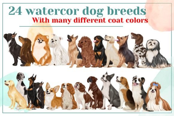 Christmas Watercolor Dog Breed Illustrations Review